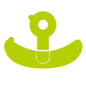 Pansement ancre siliconé Cerederm CERECARE