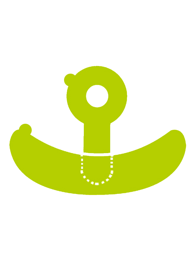 Pansement ancre siliconé Cerederm CERECARE